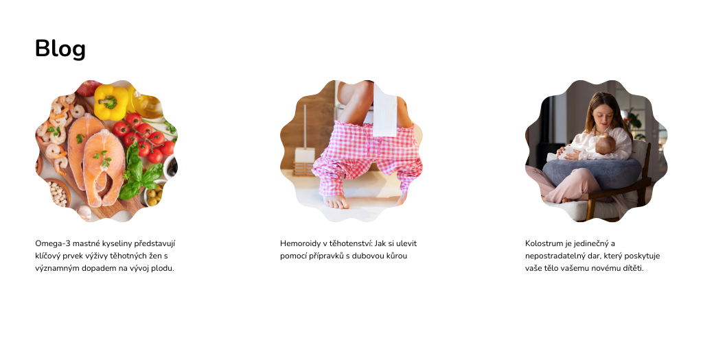 Blog web